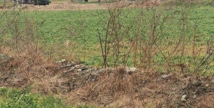 Menderes Nehri’ni kirleten firma cezadan kaçamadı
