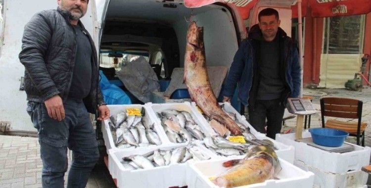 Kuraklık, barajlardaki balık popülasyonu etkiledi
