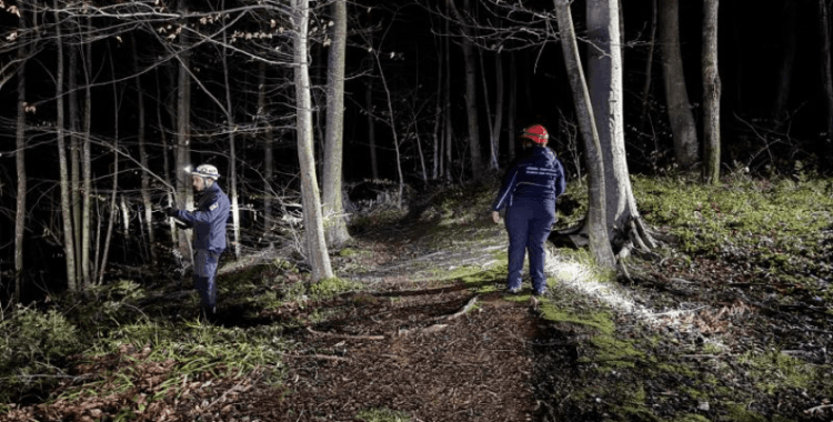 Kaybolan kadın Belgrad Ormanları'nda aranıyor