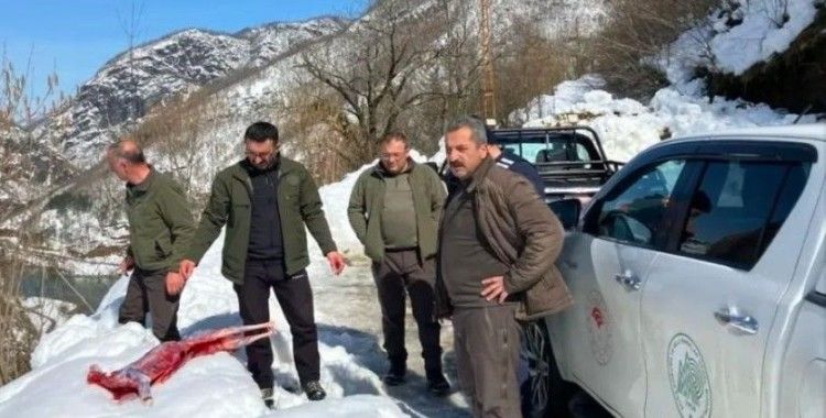 Artvin’de kaçak avcılar suçüstü yakalandı
