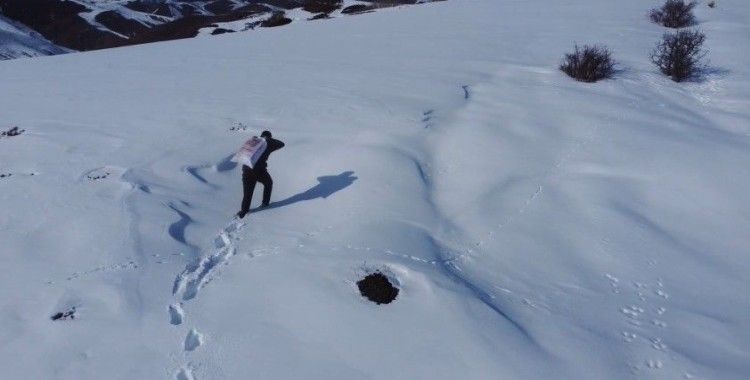Bayburt’ta yaban hayvanları unutulmuyor: Karla kaplı araziye yem bırakıldı
