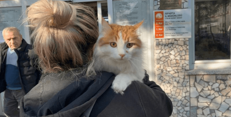 Evcil hayvanlar için mikroçip zorunluluğu yıl sonuna kadar uzatıldı