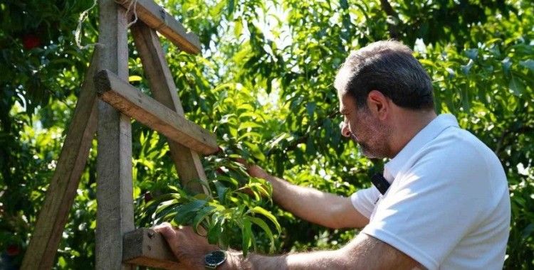 Gürsu’da ilçe tarımını dönüştürecek yeni proje
