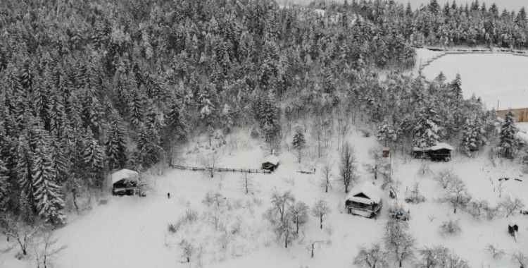 Artvin’de zorlu kış şartlarında boğa bakımı güçleşiyor
