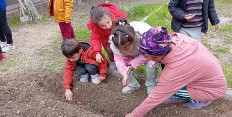 Minik eller tohumları toprakla buluşturdu
