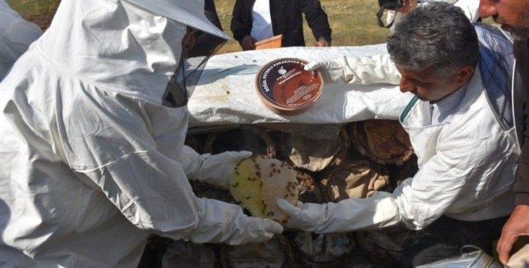 Siirt’te 56 projeye 41 milyon 436 bin lira hibe desteği
