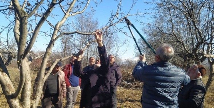 Erzincan çiftçisine ‘budama’ uyarısı
