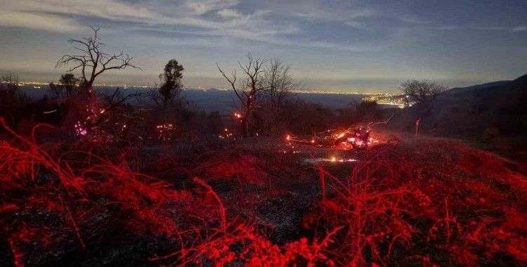 Yalova’daki orman yangını kontrol altına alındı
