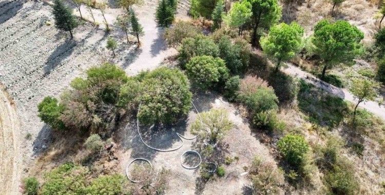 Botanik bahçesi yeni büyümeye devam ediyor
