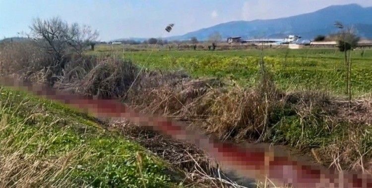 Efeler Belediyesi çevre kirliliğine geçit vermedi
