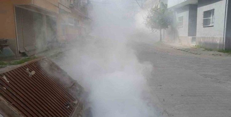 Koçarlı Belediyesi’nden haşere ve yabani otlara erken müdahale
