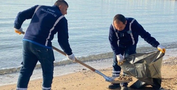 Didim’de Lodos’un izleri siliniyor
