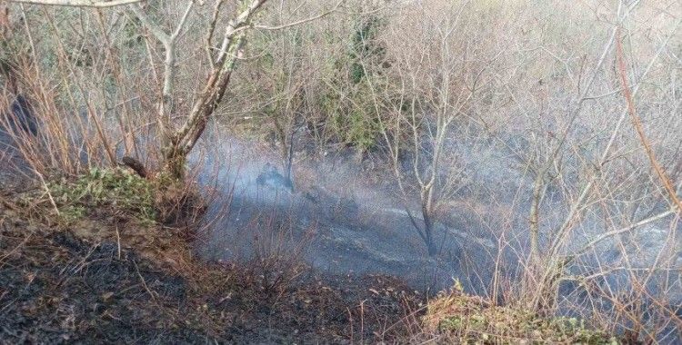 Temizlik amacıyla yakılan ateş ormanı küle çevirdi
