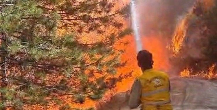 Aydın’da orman yangını
