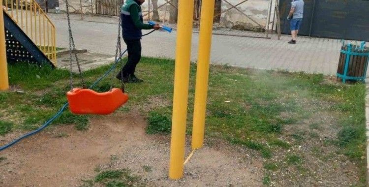 Karacasu’da yabani ot mücadelesi başladı
