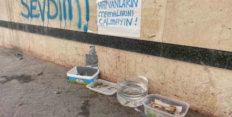 Eskişehir’de ‘Hayvanların mamalarını çalmayın!’ uyarısı
