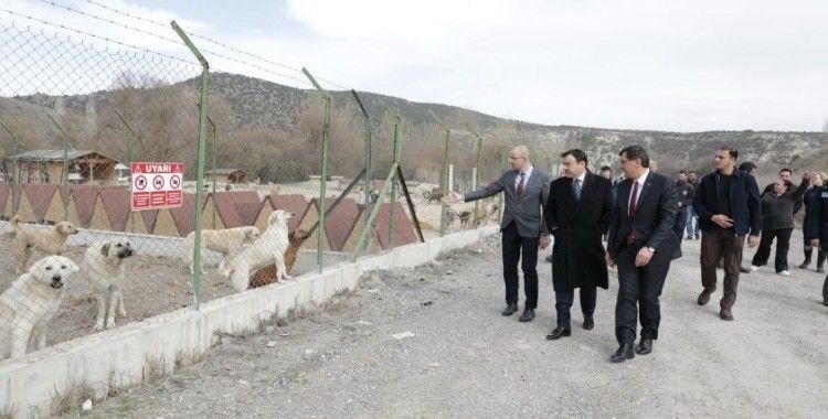 Vali Işın ve Başkan Kahveci sokak hayvanları için oluşturulan doğal yaşam alanını inceledi
