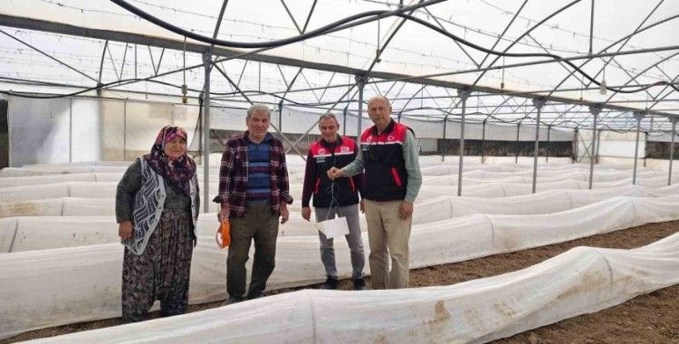 Eskişehir’de domates seralarında zararlı takibi başladı
