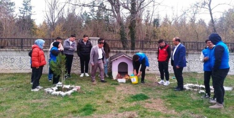 Hisarcık’ta sokak hayvanları için mama bırakıldı
