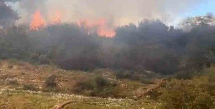 Çalılık yangınında 500 metrekare alan zarar gördü
