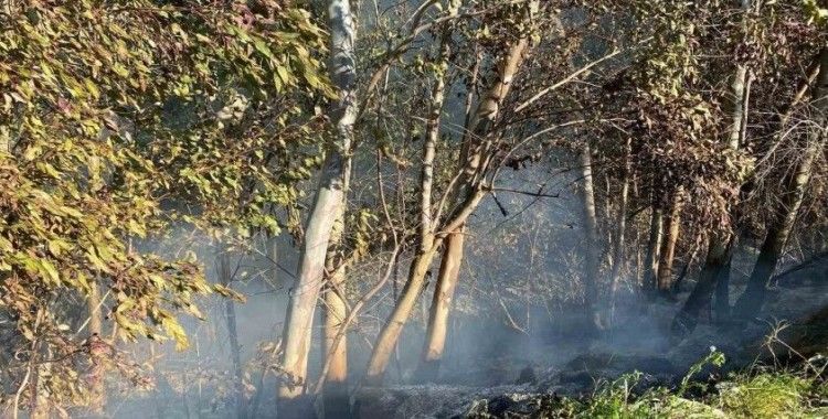 Temizlik ateşi 30 söğüt ağacının yanmasına sebep oldu
