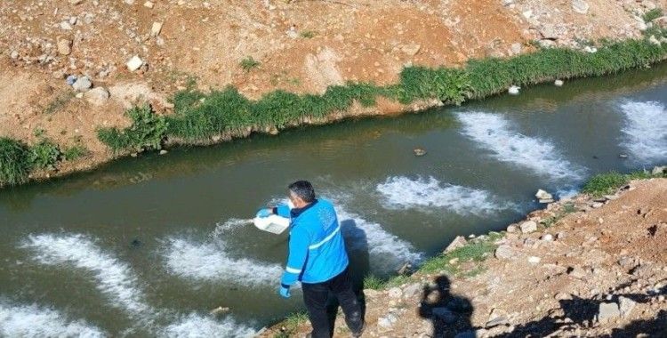 Adıyaman Belediyesi’nden larva mücadelesi
