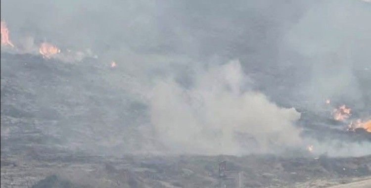 Avşa Adası’nda çıkan yangın kontrol altına alındı
