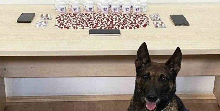 Binlerce uyuşturucu hapla yakalanan 2 şüpheli tutuklandı
