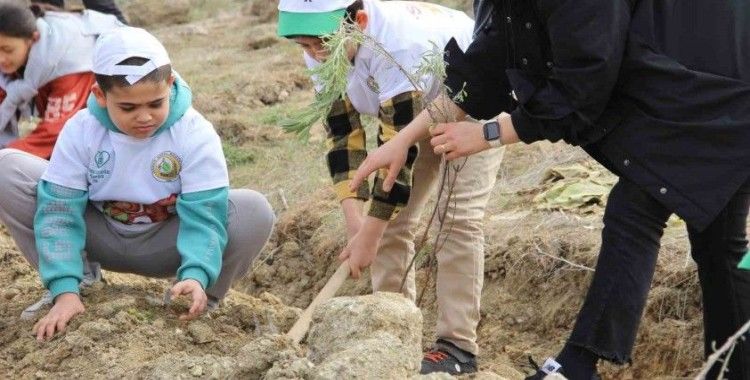 Çorum’da yüzlerce ıhlamur ve lavanta fidanı toprakla buluşturuldu
