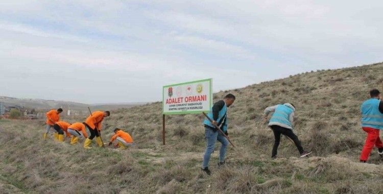 Çorum’da hükümlüler 2 bin fidan dikimi ve 5 bin fidanın bakımını gerçekleştirecek
