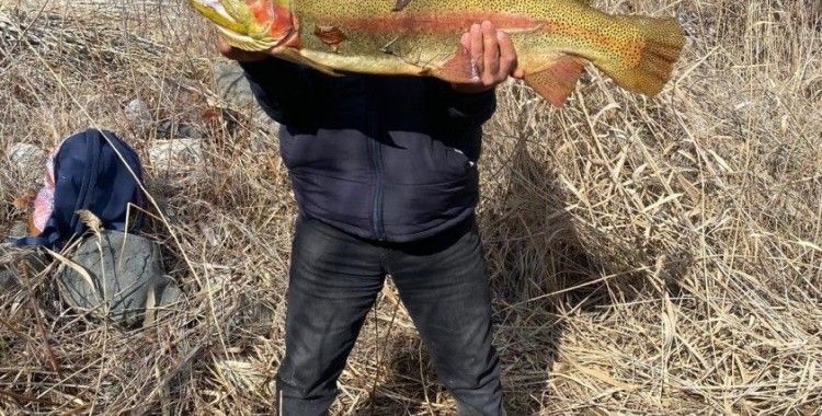 Dev somon şaşırttı
