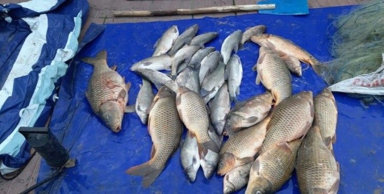 Su ürünleri av yasağı 1 Nisan’da başlıyor
