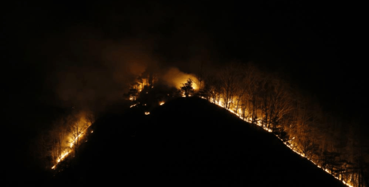 Güney Kore'deki orman yangınlarında ölü sayısı 28'e yükseldi