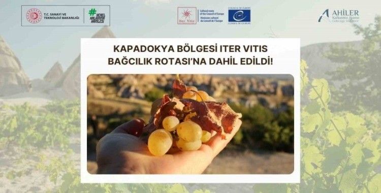 Kapadokya Bölgesi Iter Vitis Bağcılık Rotası’na dâhil edildi
