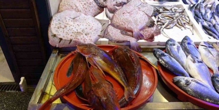 40 yıldır ikisi bir arada bu kadar bol görülmedi
