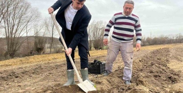 Dumlupınar’da böğürtlen fideleri toprakla buluşturuldu

