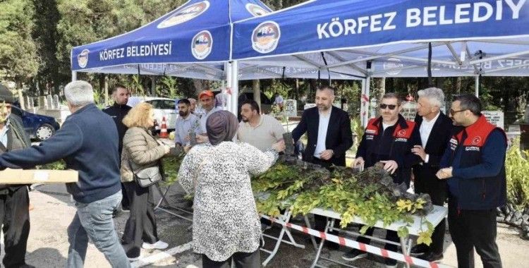 Mezarlıklarda fidan dağıtımı
