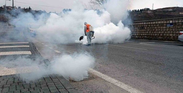 Talas’ta sinek ve haşerata erken önlem
