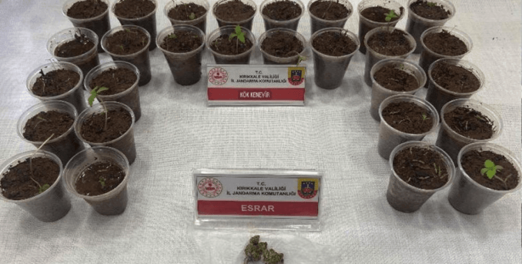 Bagajdan bardak bardak kenevir çıktı: Uyuşturucuyla yakalanan şüpheli tutuklandı