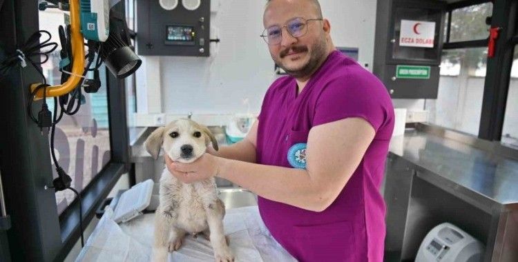 Büyükşehir’in Vetbüs projesi hizmete başladı
