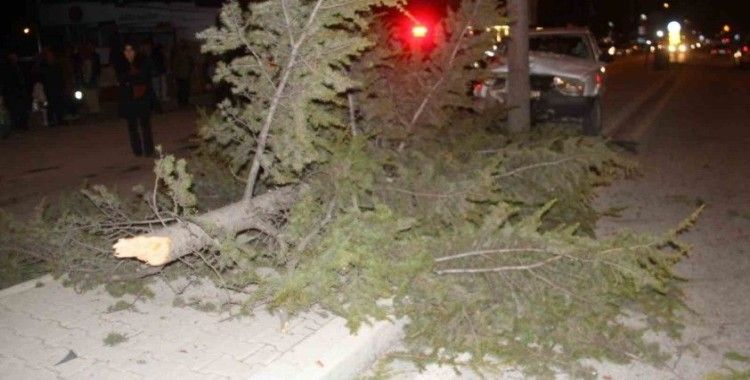 Konya’da otomobil refüjdeki ağaca çarptı: 6 yaralı
