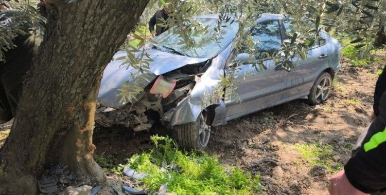 Köpeğe çarpmamak için kaza yaptı
