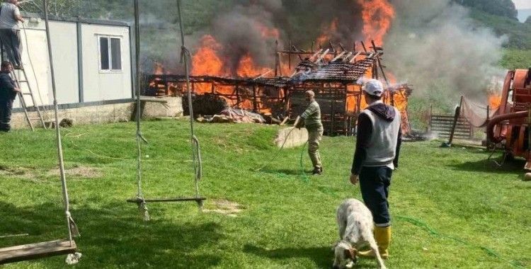 Akçakoca’da samanlık yanarak küle döndü
