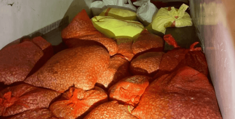 Kaçak midye avına 37 bin lira ceza