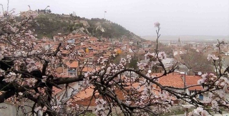 Kütahya’da badem ağaçları bu yıl zamanında çiçek açtı
