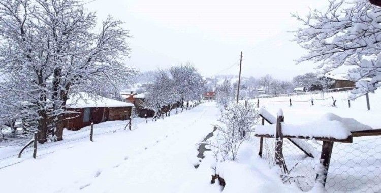 Giresun yaylalarında Nisan ayında karla mücadele sürüyor
