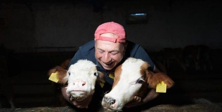 İkinci dönem buzağı destekleme başvuruları başladı
