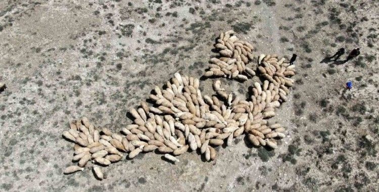 Erzincan’da meralar ihaleye çıkarıldı
