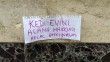 Kedi evini çalanlara hakkını helal etmedi
