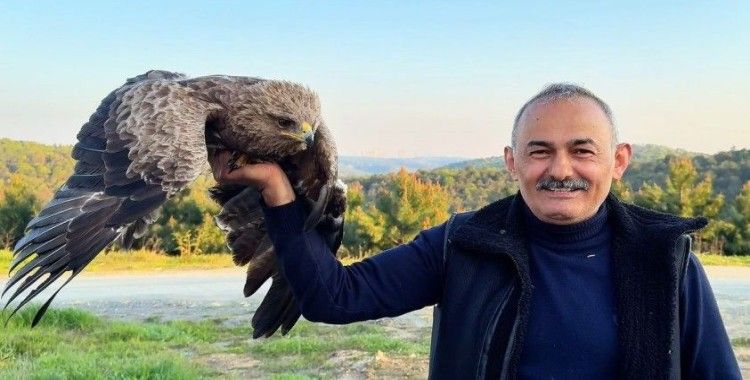 Arnavutköy’de ormanda ot toplayan vatandaş yaralı Kaya Kartalı buldu

